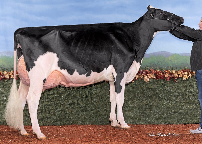 BENRISE MASTER BETTE MIDLER EX-92-3YR