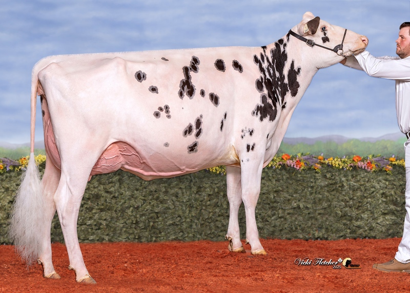BENBIE LOYALL CARMELA VG-87-2YR