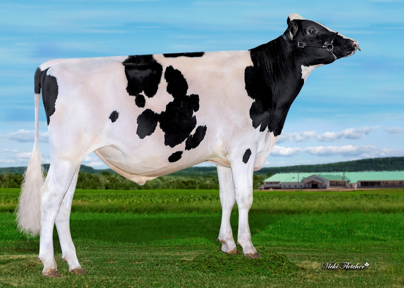 BLONDIN FAIRBANKS PRIVATE JET