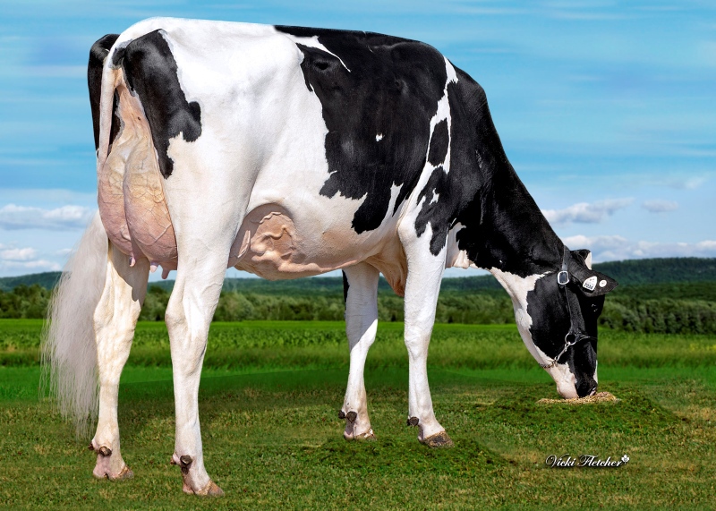 DAM: BLONDIN DESTINATION LOUISIANA VG-86-2YR