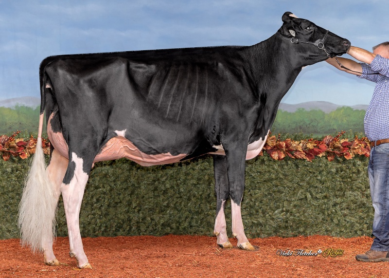 BECKRIDGE QUALITY NRGY MEGAPIX NC