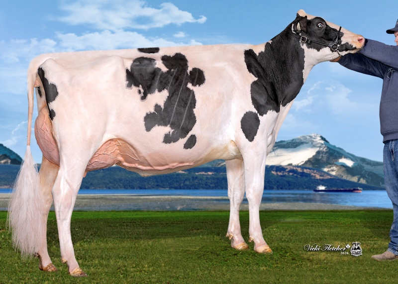 HAMMING DESTINATION BETHRAVE VG-86-2YR