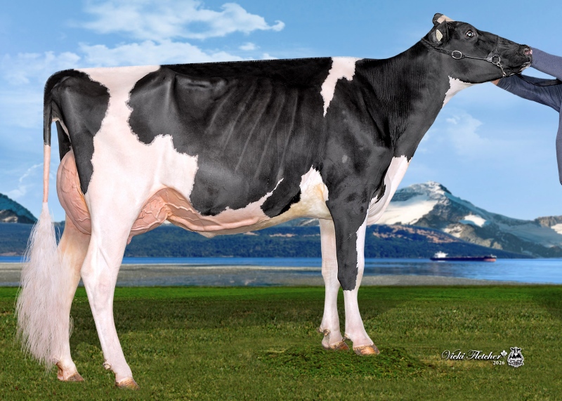 SISTER: HAMMING APPROVED SHADE 962 VG-87-2YR