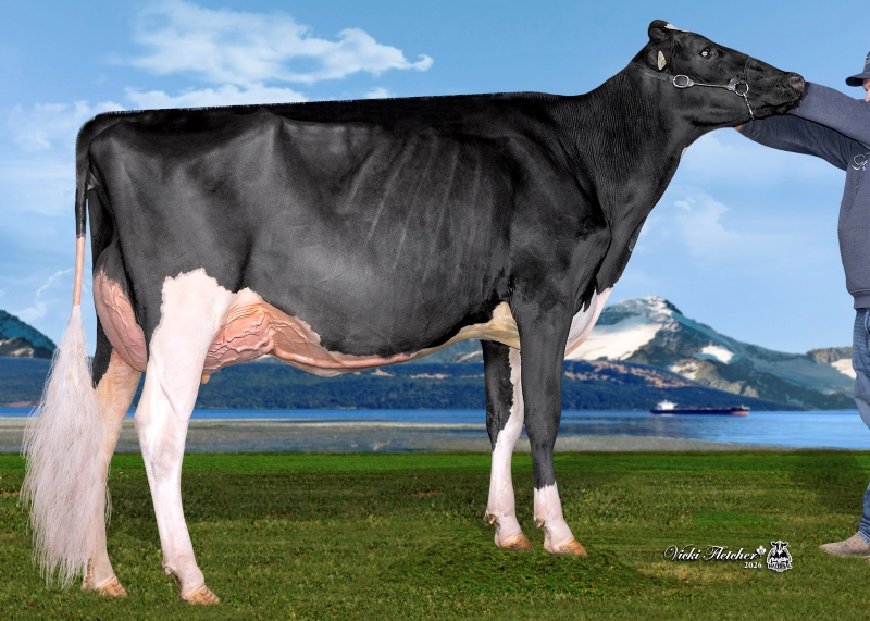 SISTER: HAMMING MAJOR SAVVY VG-86-2YR